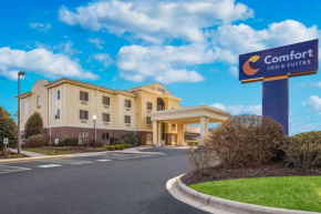 Гостиница Comfort Inn & Suites  Бревард